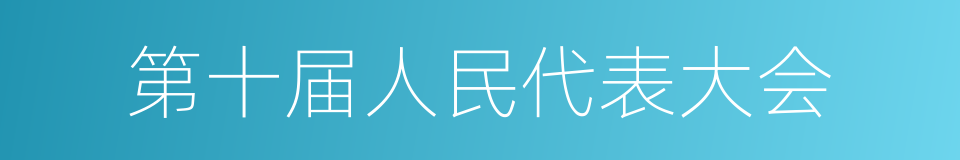 第十届人民代表大会的同义词