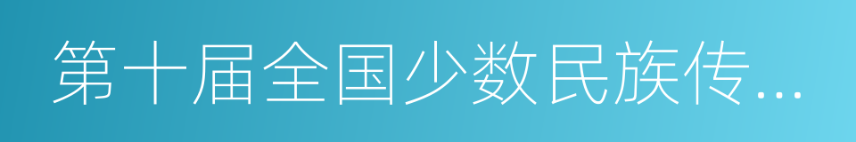 第十届全国少数民族传统体育运动会的同义词