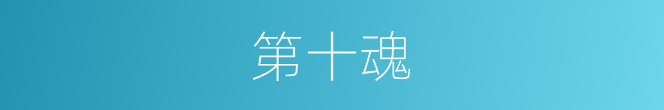 第十魂的同义词