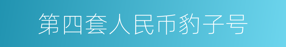 第四套人民币豹子号的同义词
