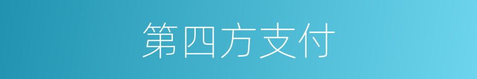 第四方支付的同义词