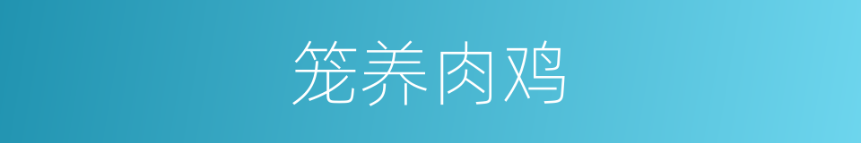 笼养肉鸡的同义词