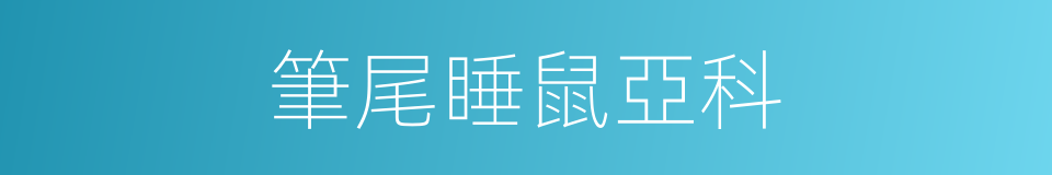 筆尾睡鼠亞科的同義詞