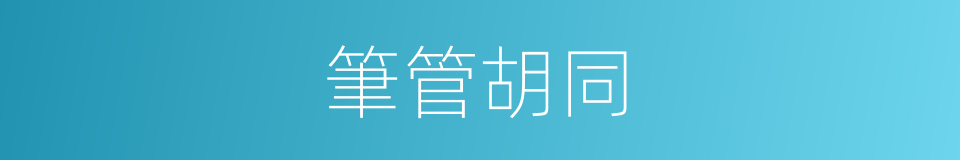 筆管胡同的同義詞