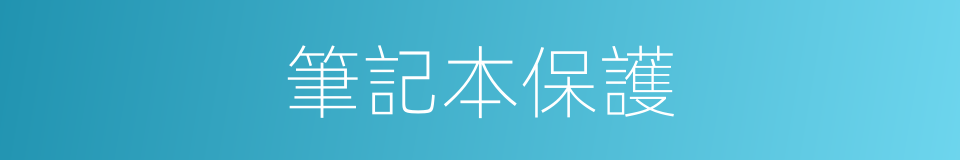 筆記本保護的同義詞