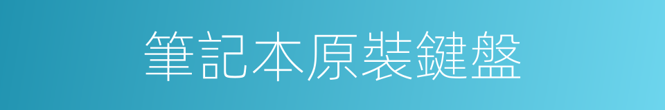 筆記本原裝鍵盤的同義詞