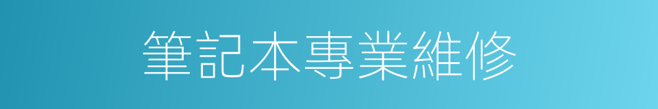 筆記本專業維修的同義詞