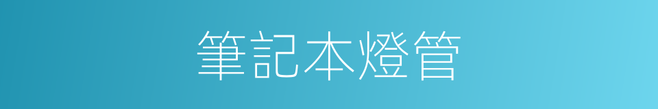 筆記本燈管的同義詞