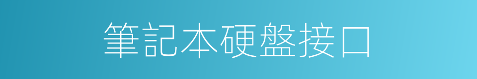 筆記本硬盤接口的同義詞