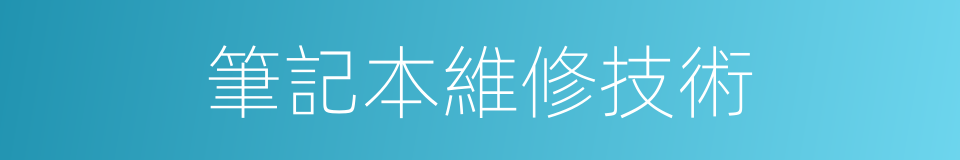 筆記本維修技術的同義詞