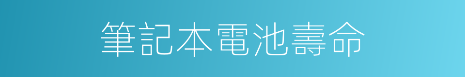 筆記本電池壽命的同義詞