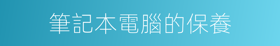 筆記本電腦的保養的同義詞