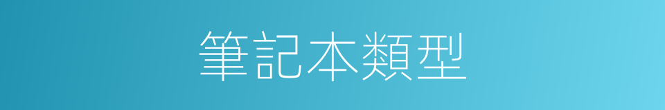 筆記本類型的同義詞