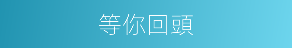 等你回頭的同義詞