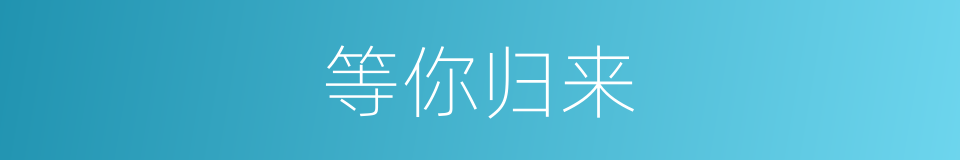 等你归来的同义词