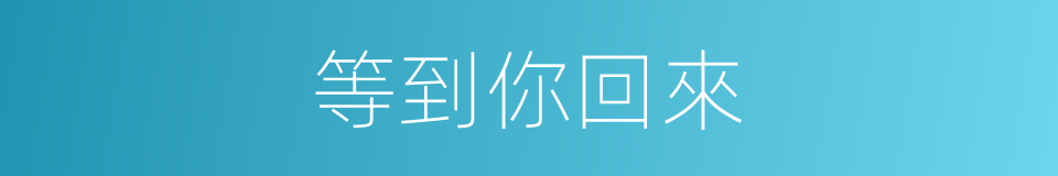 等到你回來的同義詞