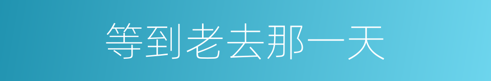 等到老去那一天的同义词