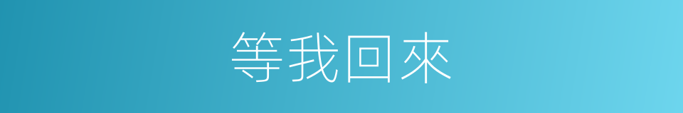 等我回來的同義詞