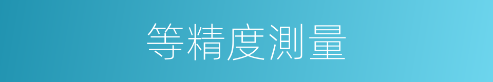 等精度測量的同義詞