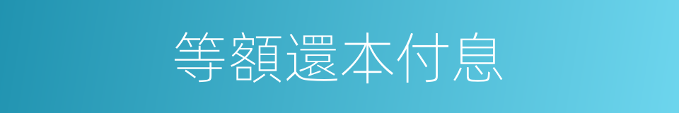 等額還本付息的同義詞