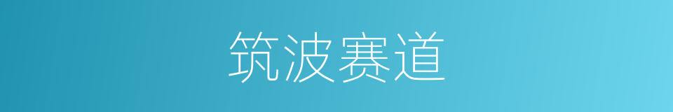 筑波赛道的同义词