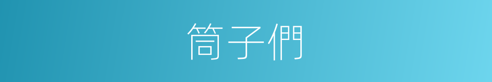 筒子們的意思