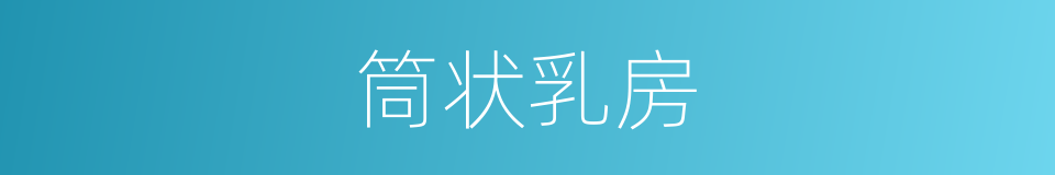 筒状乳房的同义词