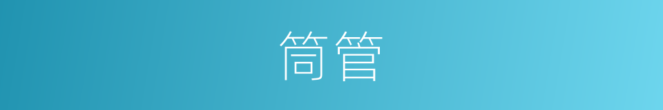 筒管的意思