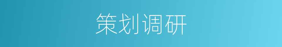 策划调研的同义词