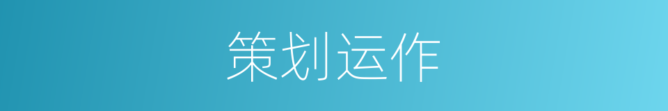 策划运作的同义词