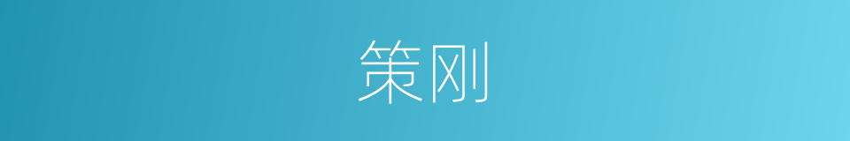 策刚的同义词