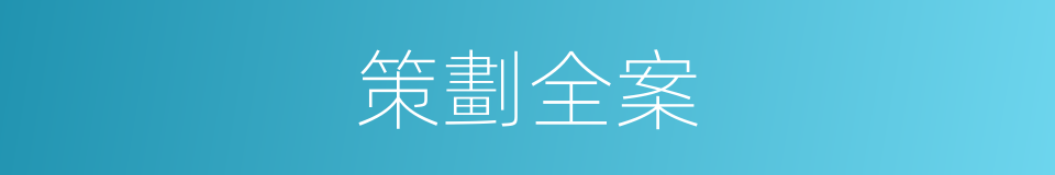 策劃全案的同義詞