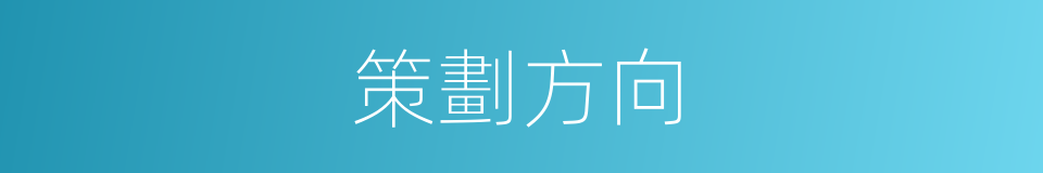 策劃方向的同義詞