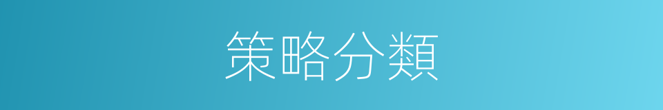 策略分類的同義詞