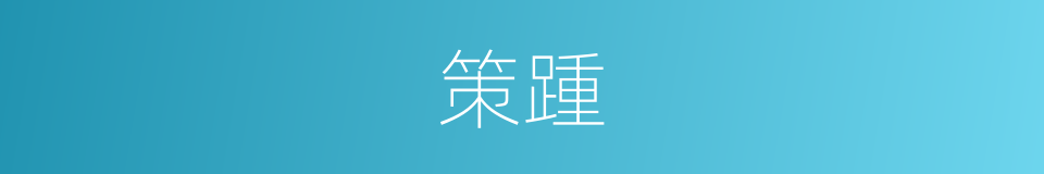策踵的意思