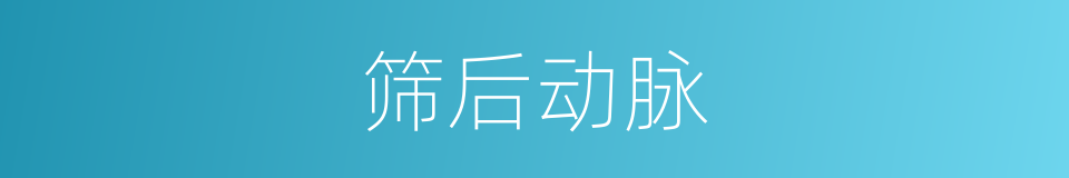 筛后动脉的同义词