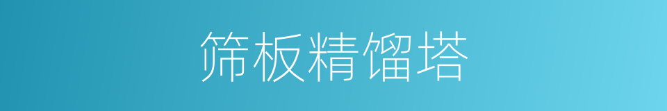 筛板精馏塔的同义词