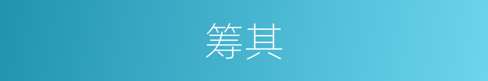 筹其的同义词