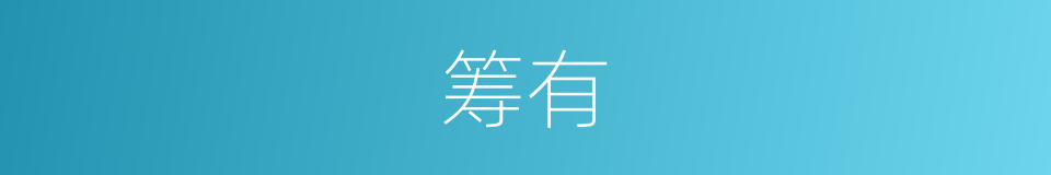 筹有的同义词