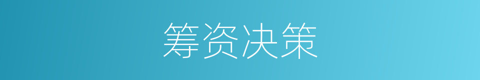 筹资决策的同义词