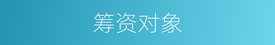 筹资对象的同义词