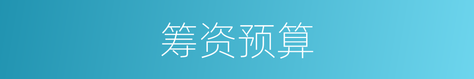 筹资预算的同义词