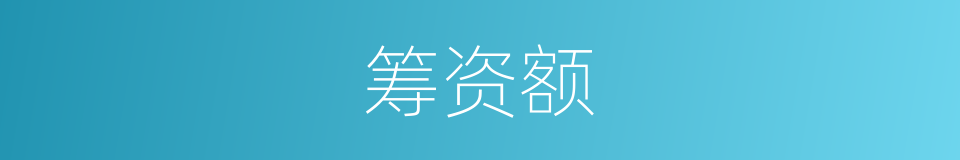 筹资额的同义词