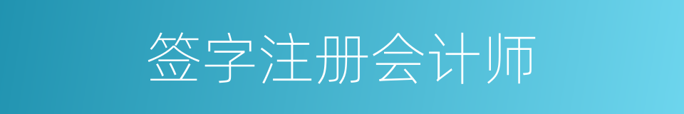 签字注册会计师的同义词