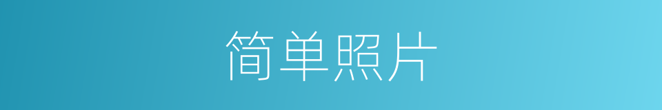 简单照片的同义词
