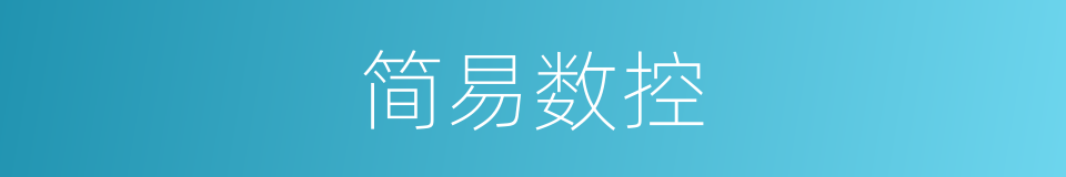 简易数控的同义词