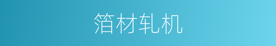 箔材轧机的同义词