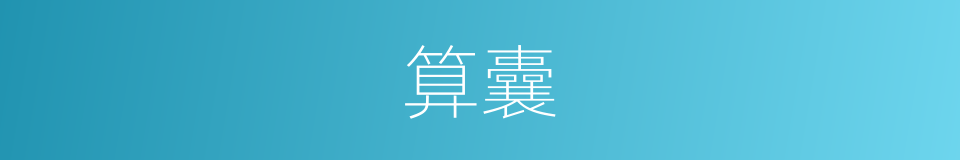 算囊的意思