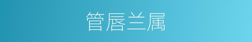 管唇兰属的同义词