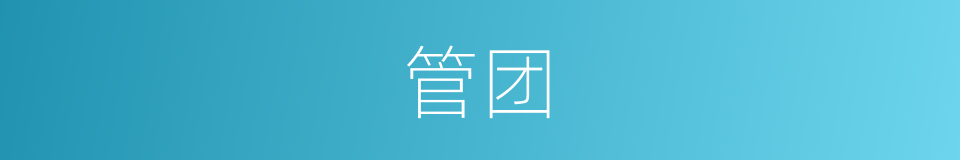 管团的同义词